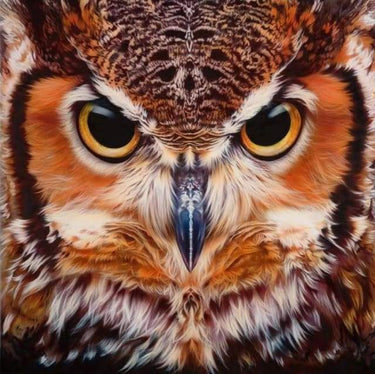 Diamond Painting Uilen kop van dichtbij met Ronde steentjes 100x100 - Beste Kwaliteit